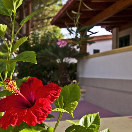 Green Park Village Vieste Exterior photo